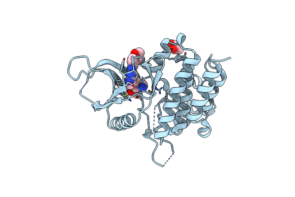 6WTP image