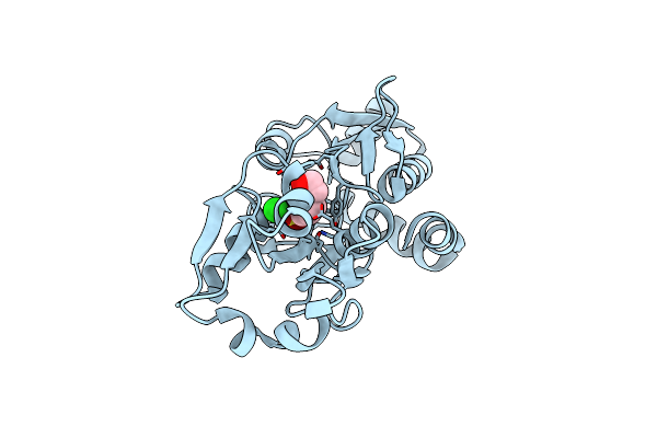 6WUP image