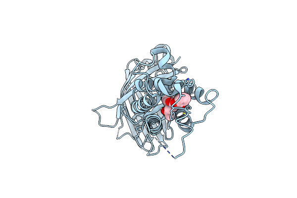 6WV4 image