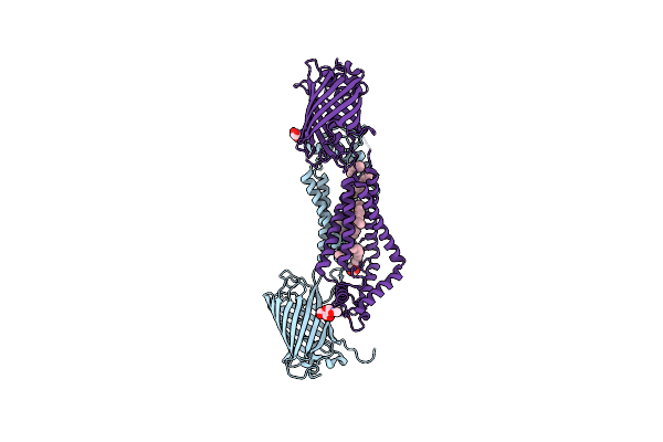6WVG image
