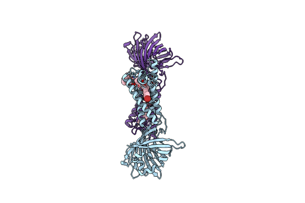 6WVH image