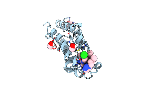 6WWB image