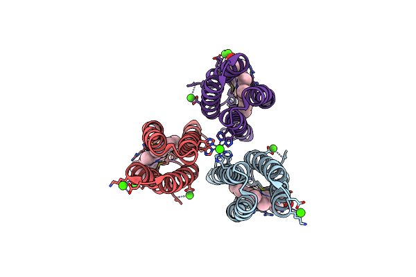 6WZ7 image