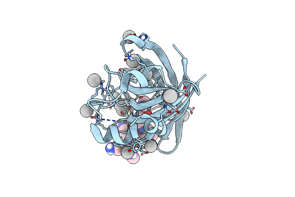 6WZZ image