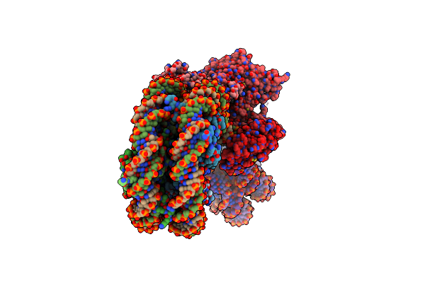 6X0N image
