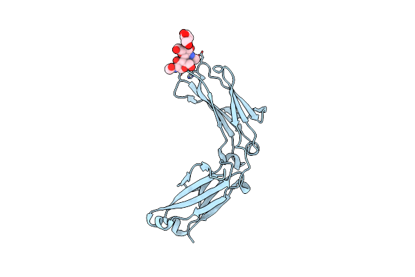 6X3I image