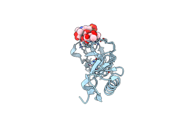 6X3K image