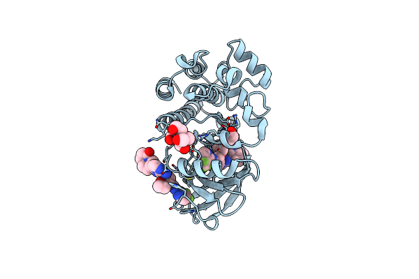 6X3P image