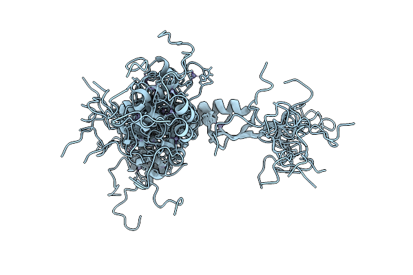 6X46 image