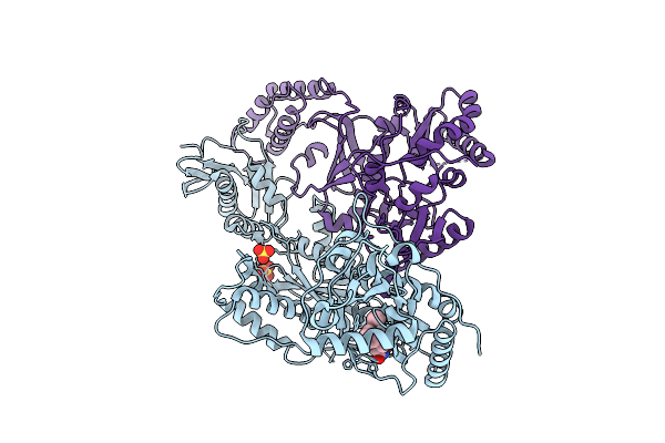 6X4D image