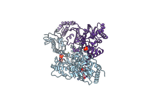 6X4E image