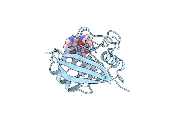 6X4O image