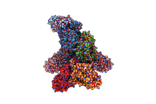 6X5T image