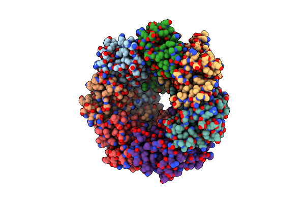 6X60 image