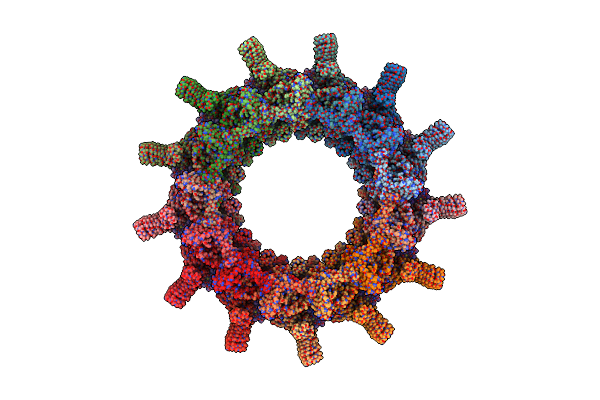 6X62 image