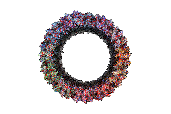 6X63 image