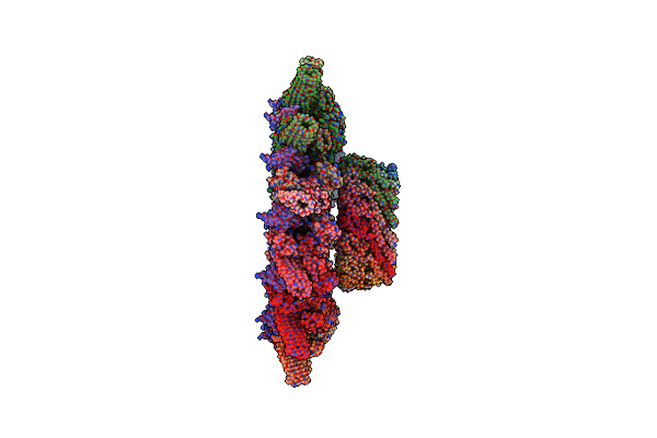 6X65 image
