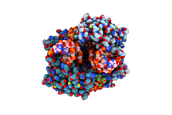 6X67 image