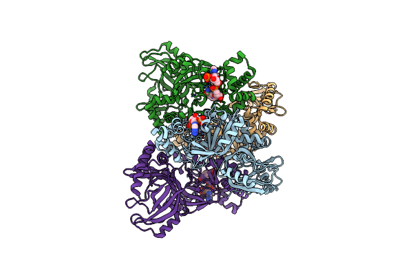 6X6V image