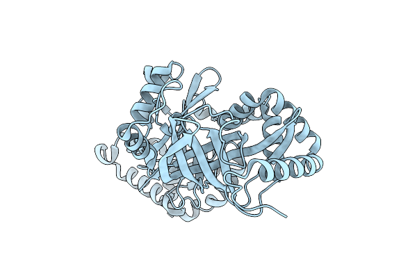 6X6W image