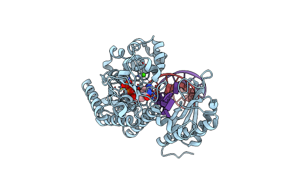 6X77 image