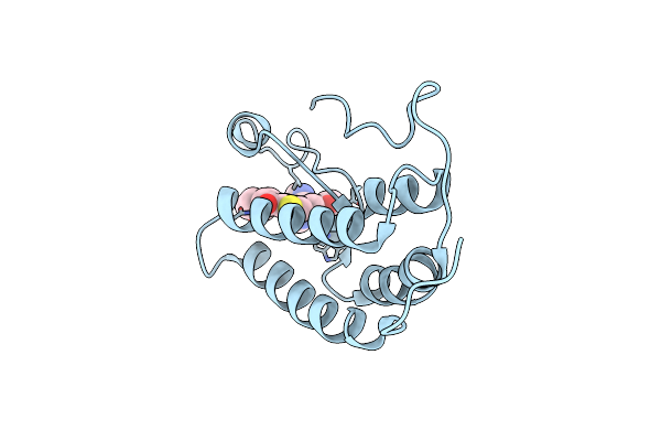 6X7C image