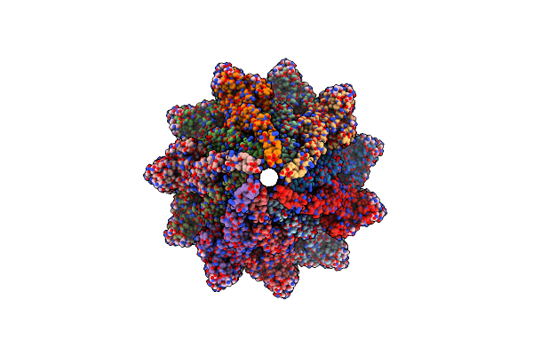 6X80 image