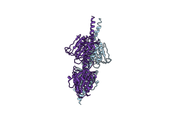 6X88 image