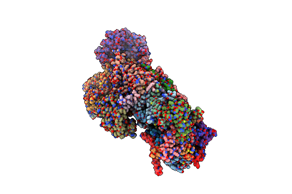 6X89 image