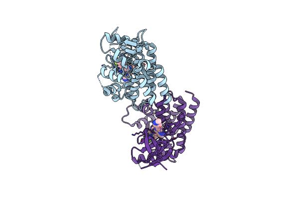 6X8E image