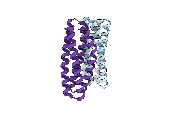 6X8N image