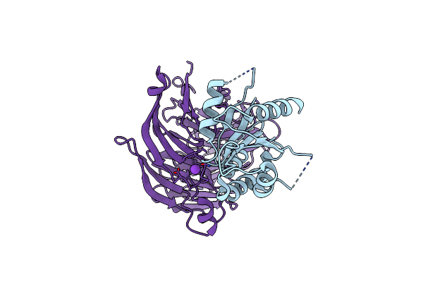 6X90 image