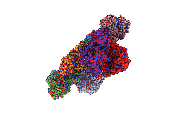 6X91 image