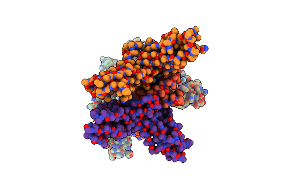 6X93 image