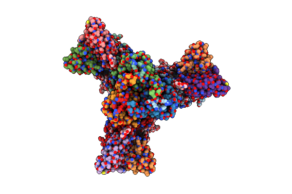 6X96 image