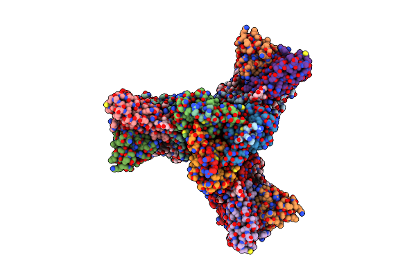 6X97 image