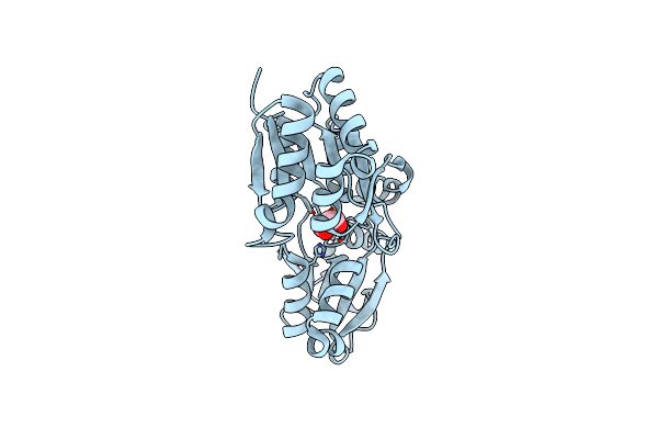 6X9G image