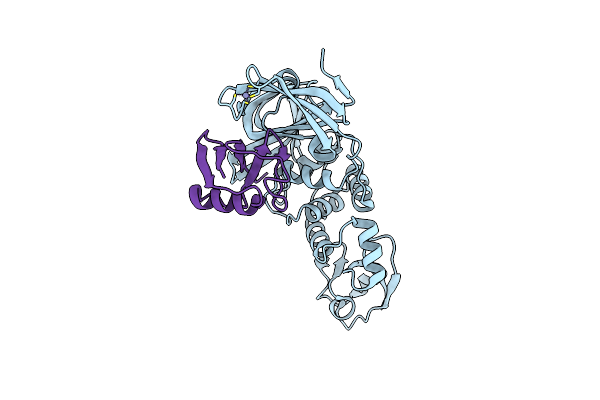 6XAA image