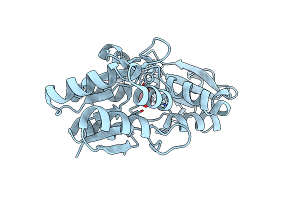6XAD image