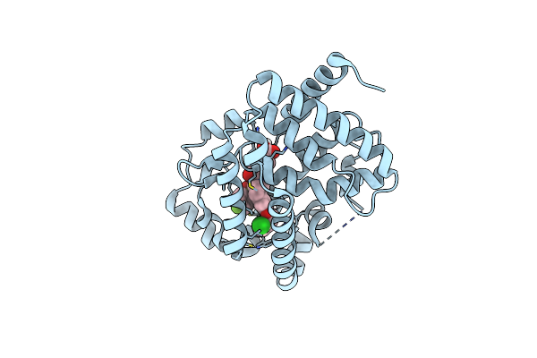 6XAE image