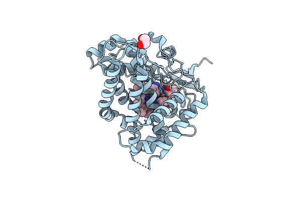 6XAM image