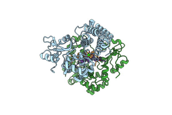 6XAR image