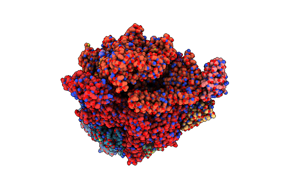 6XAV image