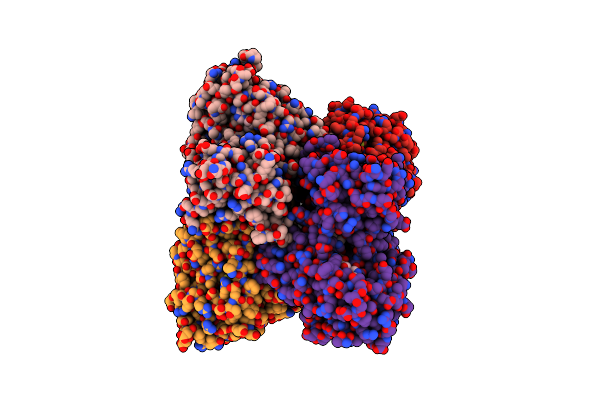 6XBC image