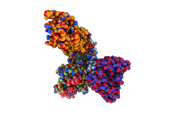 6XBM image