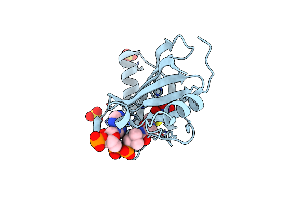 6XBV image