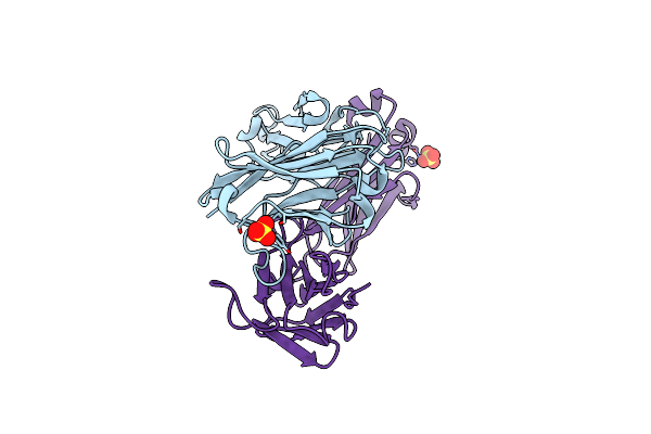 6XCA image