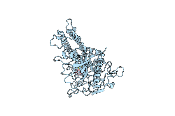 6XCC image