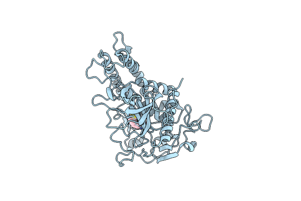 6XCD image