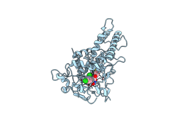 6XCE image
